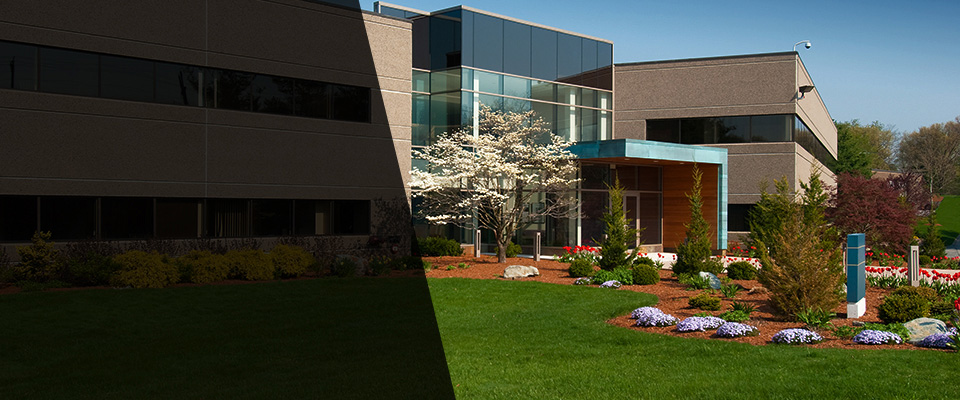 New Haven Landscapers